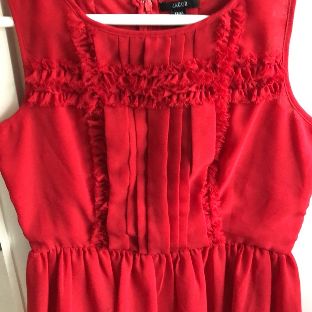 Jacob Rouge Dress - Picture 3 of 6
